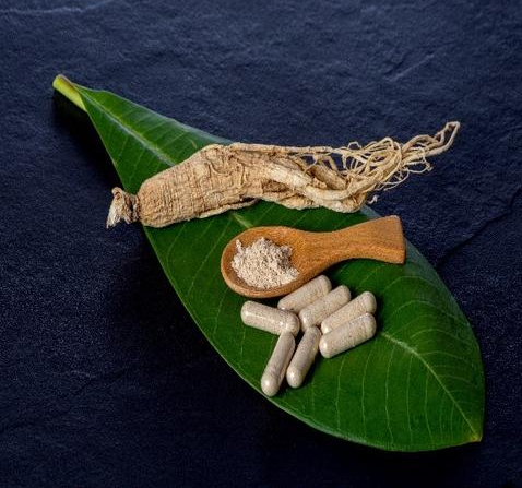 1631693600515790.png image.png