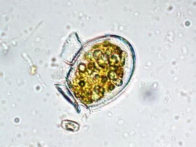 1666859952130999.jpg 20191015140535_f55008.jpg