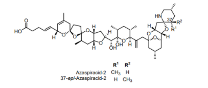 1667183242519615.png image.png