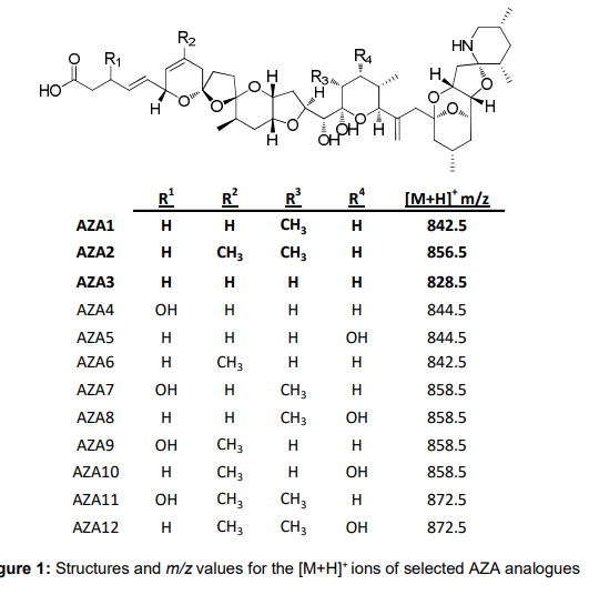 1672733132481313.png image.png